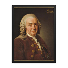 Carl Linnaeus framed print on a plain backdrop in size 18"x24".