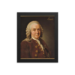 Carl Linnaeus framed print on a plain backdrop in size 8"x10".