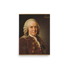 Carl Linnaeus poster on a plain backdrop in size 12"x16".