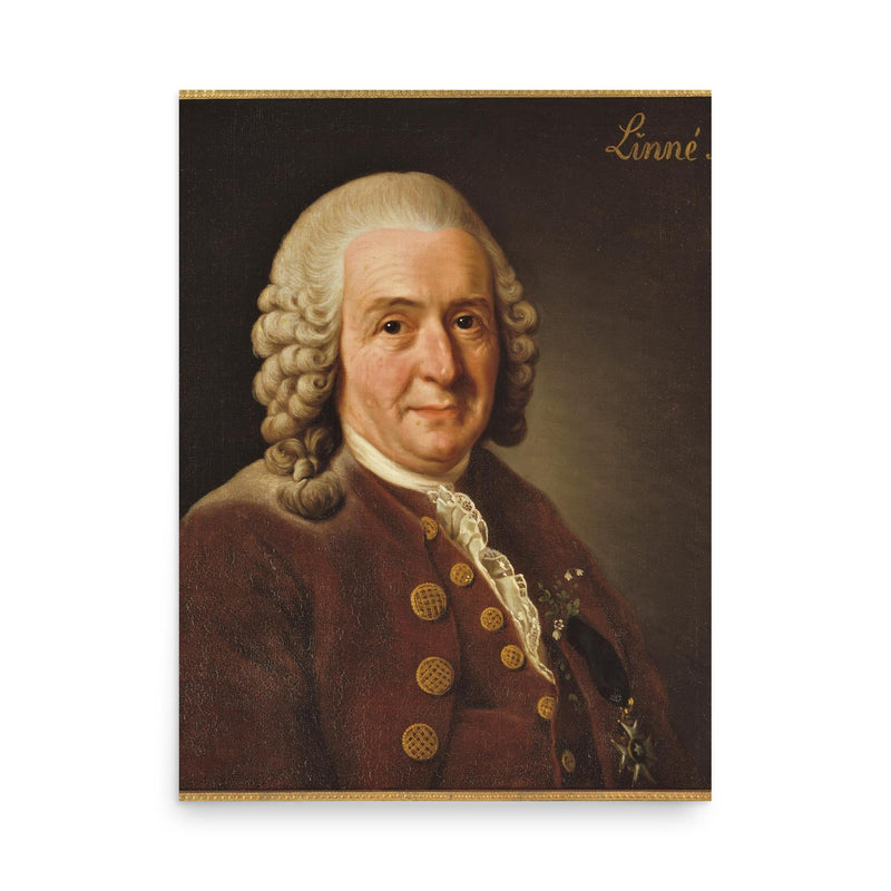 Carl Linnaeus poster on a plain backdrop in size 18