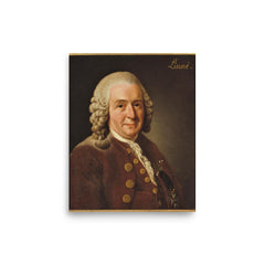 Carl Linnaeus poster on a plain backdrop in size 8"x10".