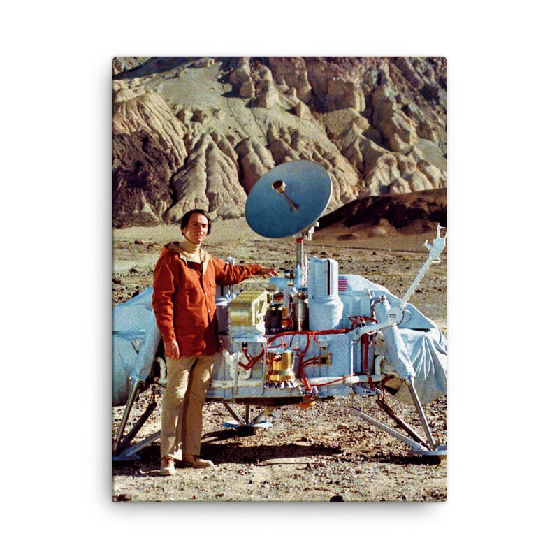 Carl Sagan canvas print on a plain backdrop in size 18
