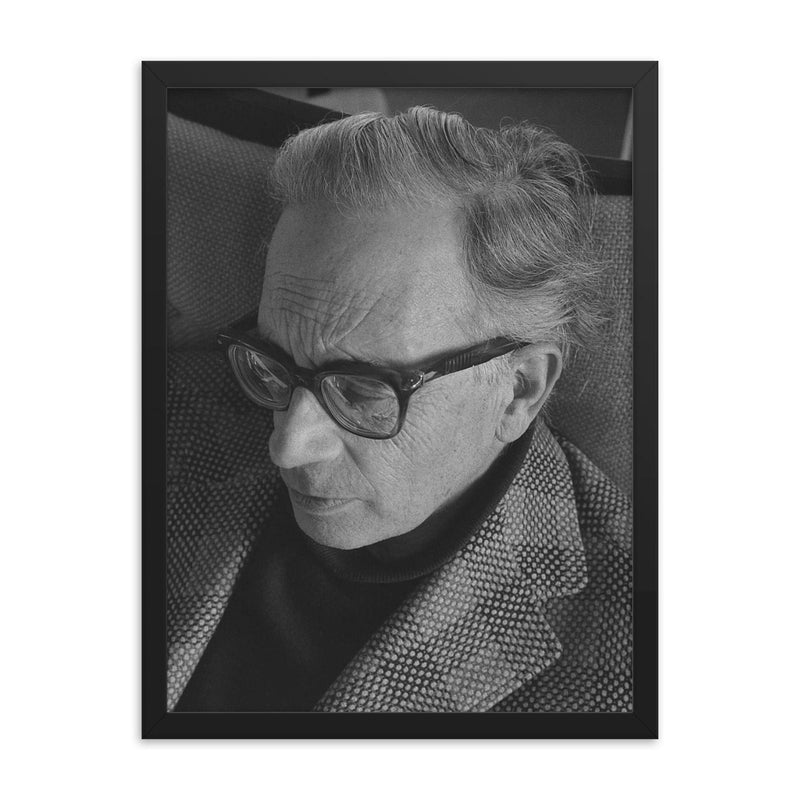 Carlos Botelho framed print on a plain backdrop in size 18