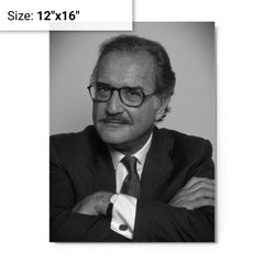 Carlos Fuentes metal print on a plain backdrop in size 12"x16".