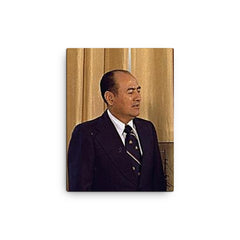 Carlos Humberto Romero canvas print on a plain backdrop in size 12"x16".