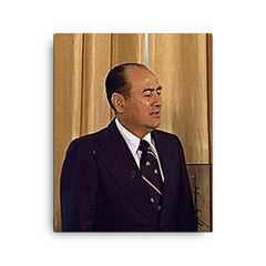 Carlos Humberto Romero canvas print on a plain backdrop in size 16"x20".