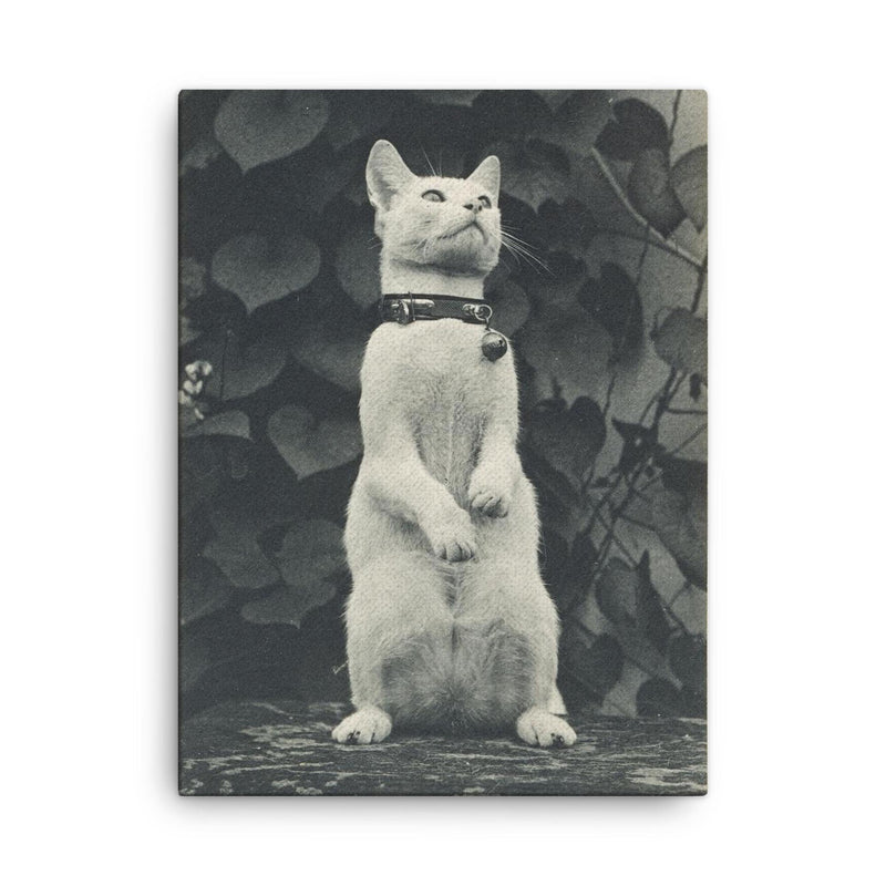 Cat in Eakins' Yard by Thomas Eakins canvas print on a plain backdrop in size 18