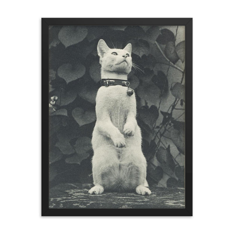 Cat in Eakins' Yard by Thomas Eakins framed print on a plain backdrop in size 18