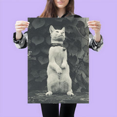 Cat in Eakins' Yard by Thomas Eakins poster 3