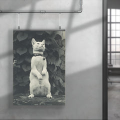 Cat in Eakins' Yard by Thomas Eakins poster 4