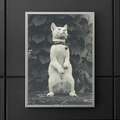 Cat in Eakins' Yard by Thomas Eakins poster 5