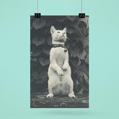 Cat in Eakins' Yard by Thomas Eakins poster 6