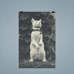 Cat in Eakins' Yard by Thomas Eakins poster 9