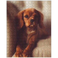 Cavalier King Charles Spaniel Puppy jigsaw puzzle