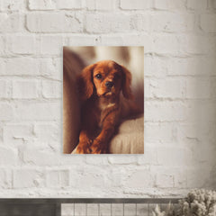 Cavalier King Charles Spaniel Puppy metal print mockup