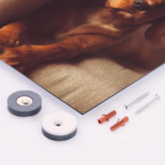 Cavalier King Charles Spaniel Puppy metal print mockup