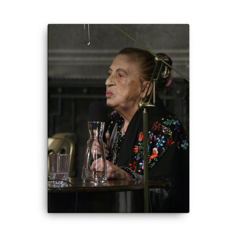 Ceija Stojka canvas print on a plain backdrop in size 18