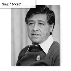 Cesar Chavez metal print on a plain backdrop in size 16"x20".