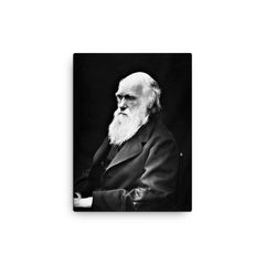 Charles Darwin canvas print on a plain backdrop in size 12"x16".