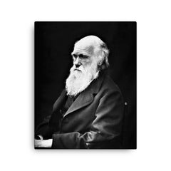 Charles Darwin canvas print on a plain backdrop in size 16"x20".