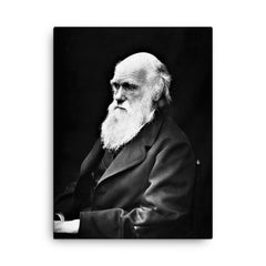 Charles Darwin canvas print on a plain backdrop in size 18"x24".