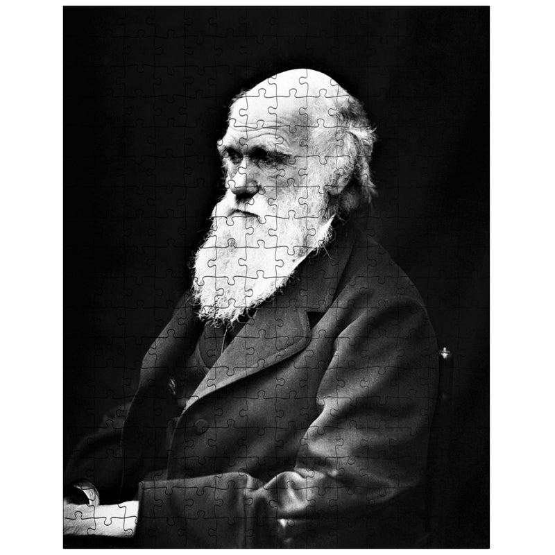 Charles Darwin jigsaw puzzle
