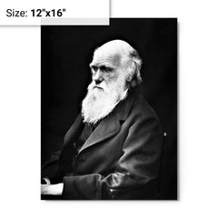 Charles Darwin metal print on a plain backdrop in size 12"x16".