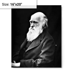 Charles Darwin metal print on a plain backdrop in size 16"x20".