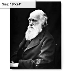 Charles Darwin metal print on a plain backdrop in size 18"x24".
