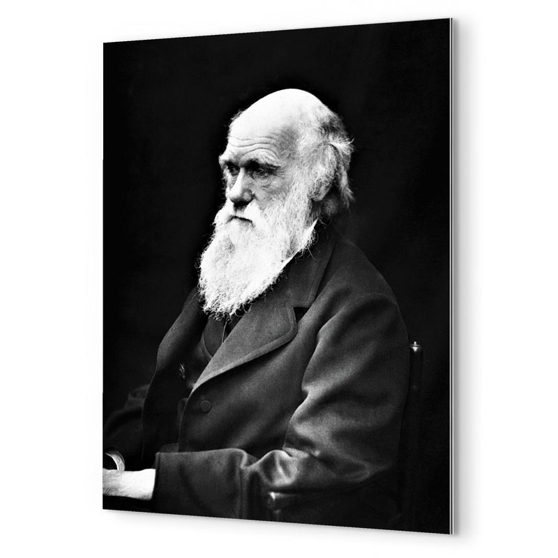 Charles Darwin metal print mockup