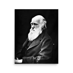 Charles Darwin poster on a plain backdrop in size 16"x20".