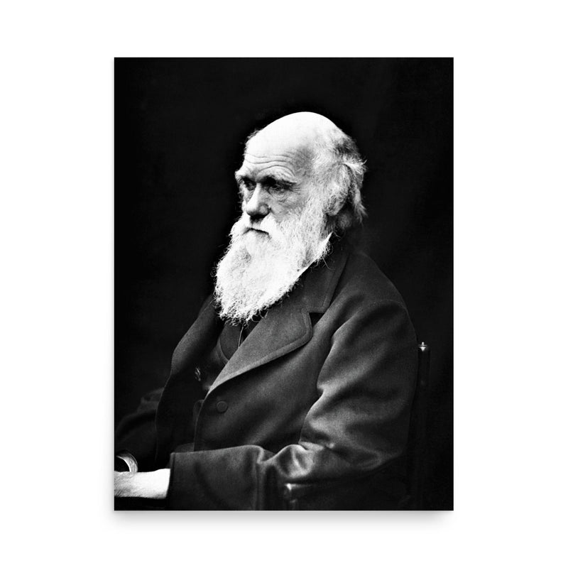 Charles Darwin poster on a plain backdrop in size 18