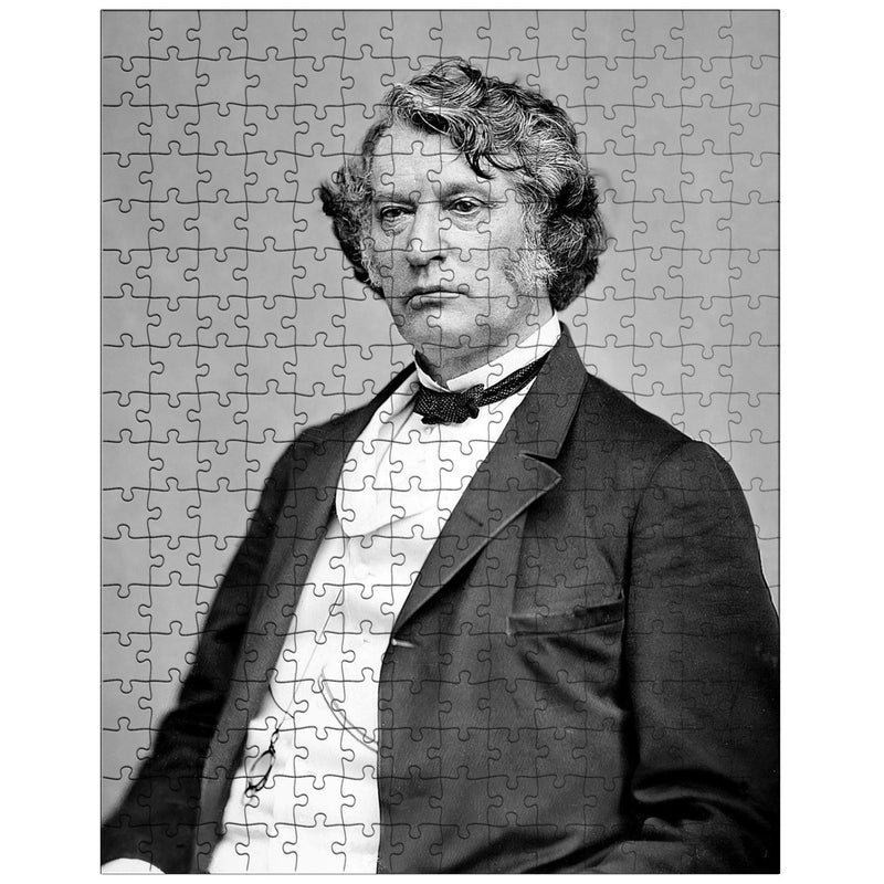 Charles Sumner jigsaw puzzle