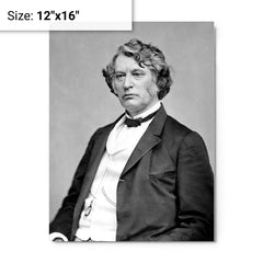Charles Sumner metal print on a plain backdrop in size 12"x16".