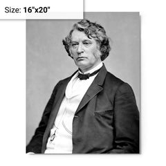 Charles Sumner metal print on a plain backdrop in size 16"x20".