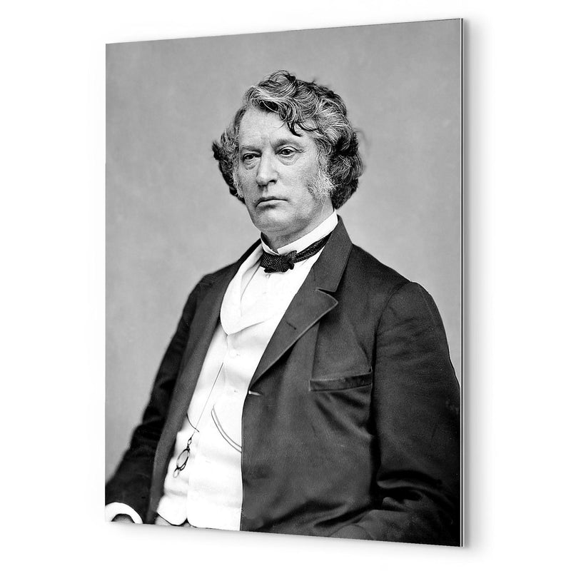 Charles Sumner metal print mockup
