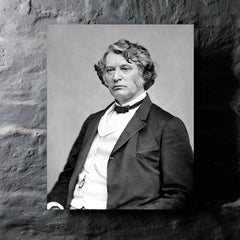 Charles Sumner metal print mockup