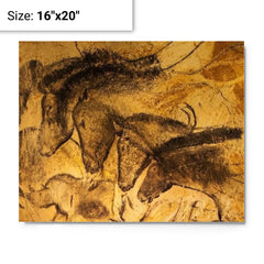 Chauvet-Pont-d'Arc Cave Paintings, France - 36000 Years Old metal print on a plain backdrop in size 16"x20".