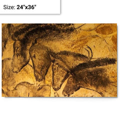 Chauvet-Pont-d'Arc Cave Paintings, France - 36000 Years Old metal print on a plain backdrop in size 24"x36".