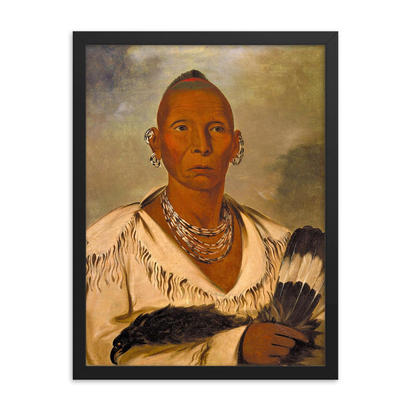 Chief Black Hawk framed print on a plain backdrop in size 18