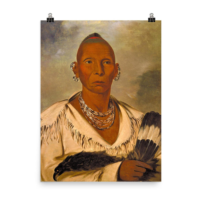Chief Black Hawk poster on a plain backdrop in size 8