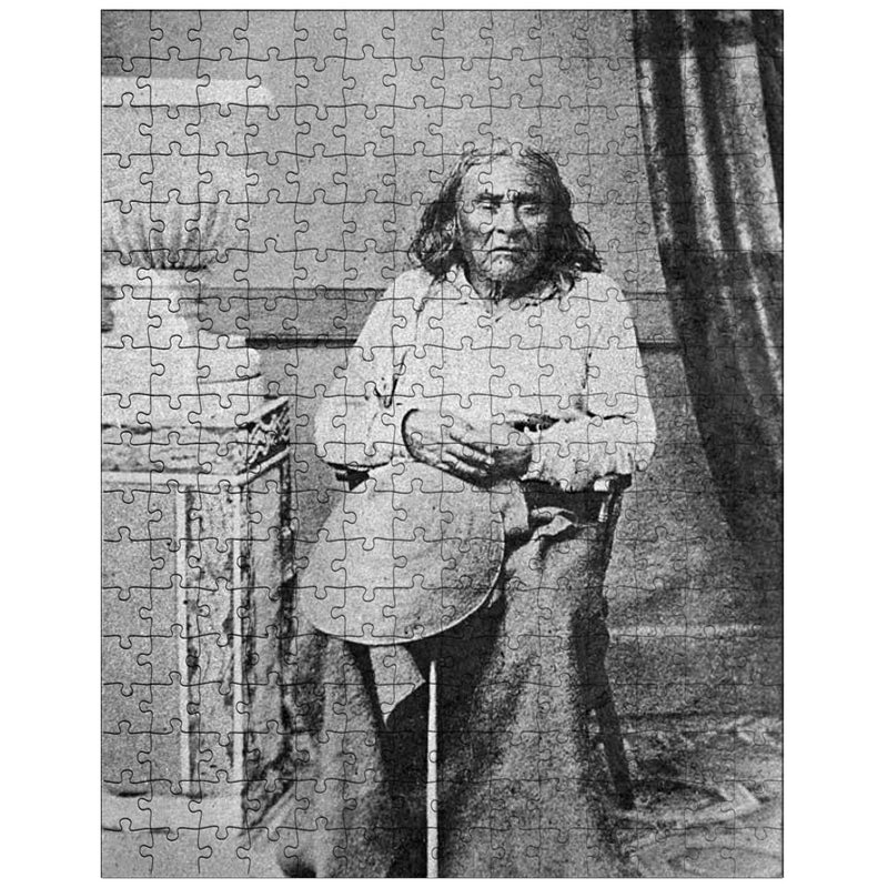 Chief Seattle jigsaw puzzle