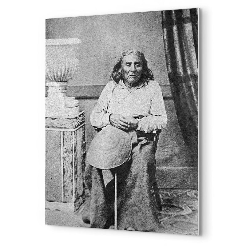 Chief Seattle metal print mockup