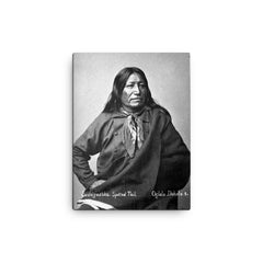 Chief Spotted Tail canvas print on a plain backdrop in size 12"x16".