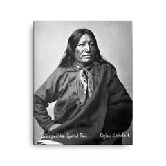 Chief Spotted Tail canvas print on a plain backdrop in size 16"x20".