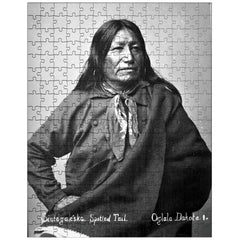 Chief Spotted Tail jigsaw puzzle