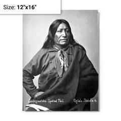 Chief Spotted Tail metal print on a plain backdrop in size 12"x16".