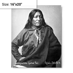 Chief Spotted Tail metal print on a plain backdrop in size 16"x20".