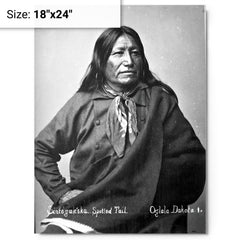 Chief Spotted Tail metal print on a plain backdrop in size 18"x24".