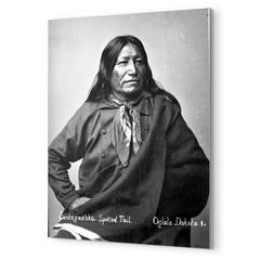 Chief Spotted Tail metal print mockup